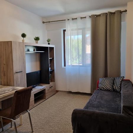 Ultracentral & Cozy, Palas Apt Iasi Buitenkant foto