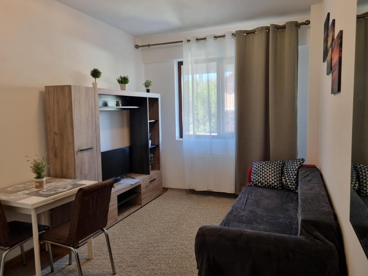 Ultracentral & Cozy, Palas Apt Iasi Buitenkant foto